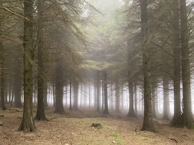 Photo of Ticknock