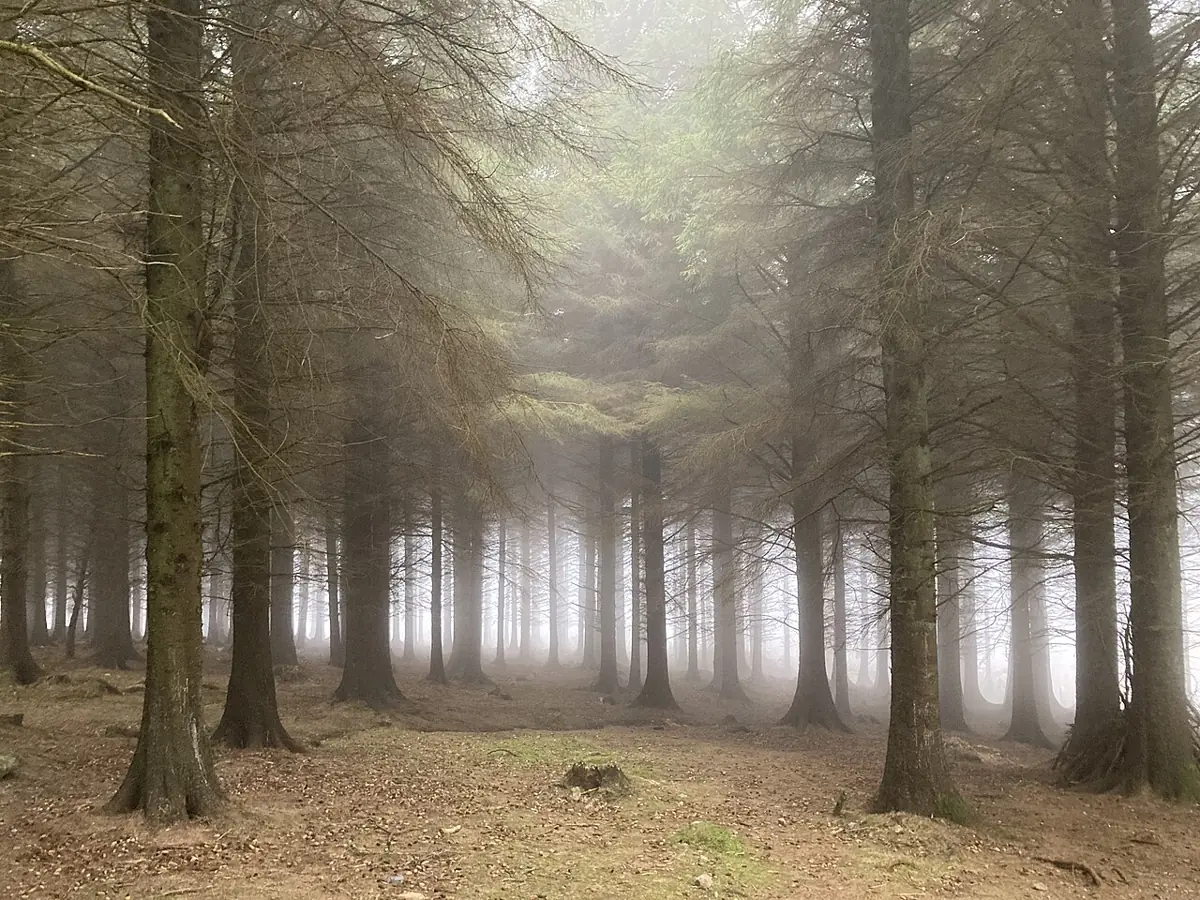 Photo of Ticknock